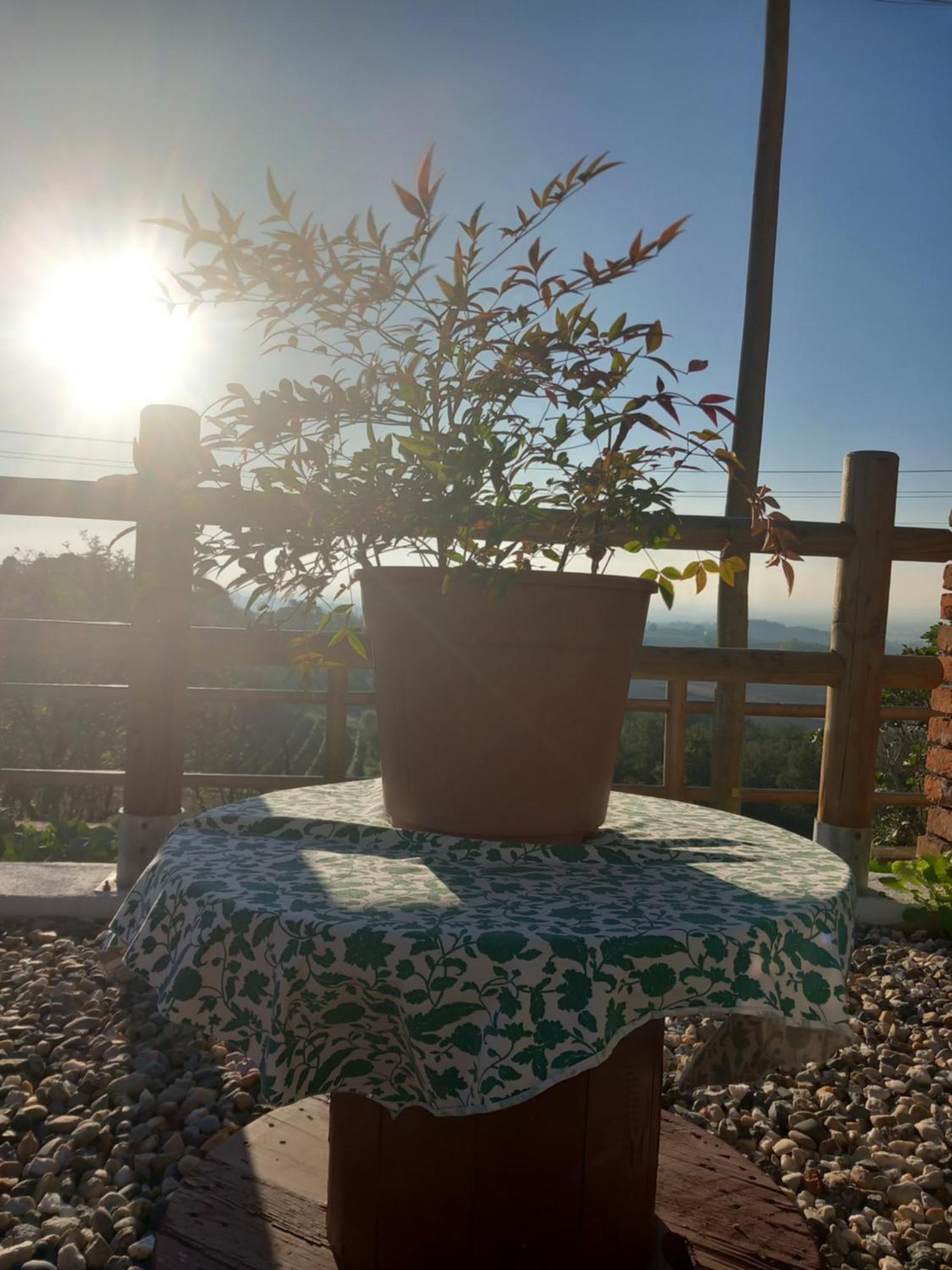 Il Cortile Di Greta Bed and Breakfast Lu (Piedmont) Eksteriør billede