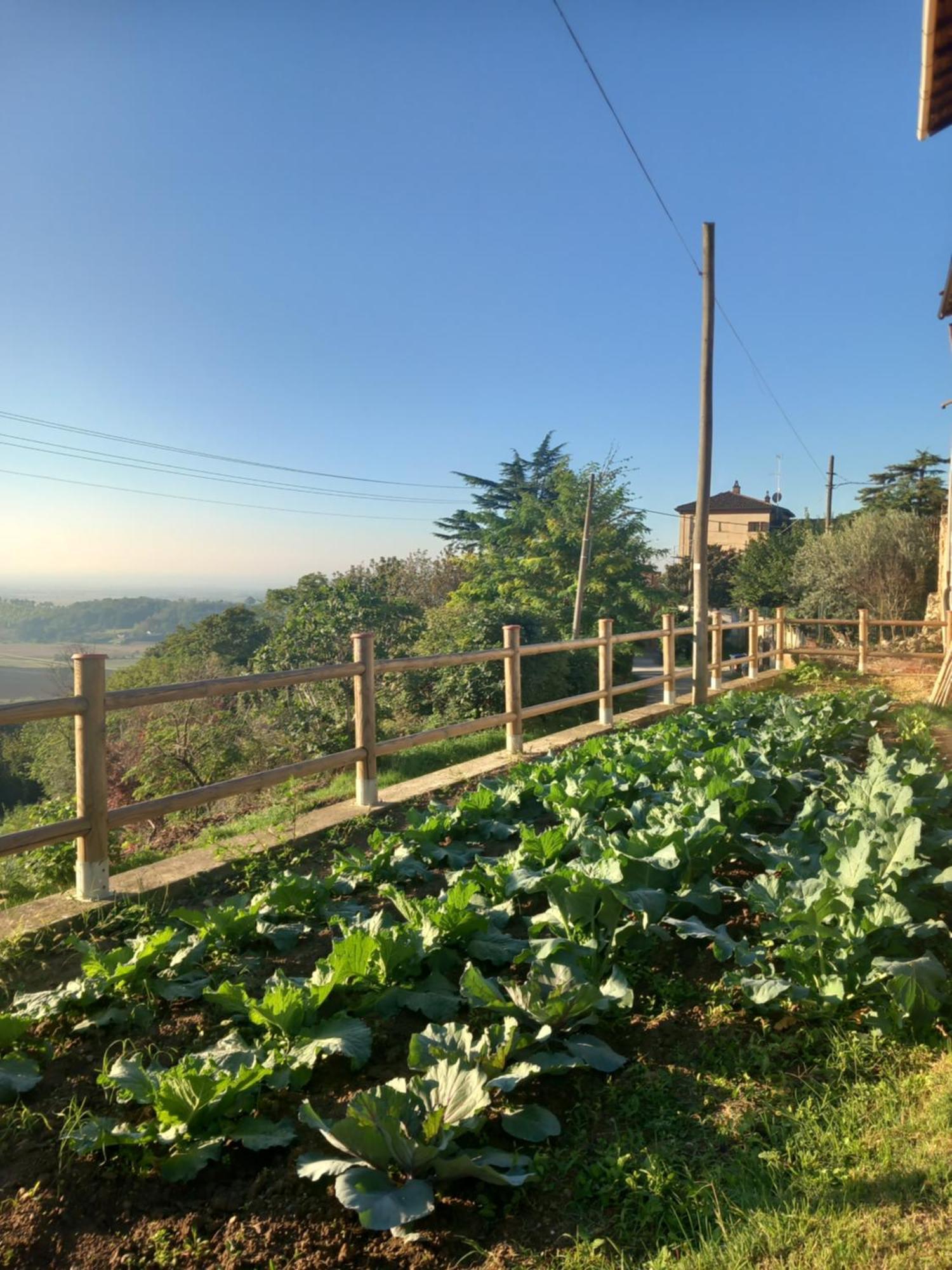 Il Cortile Di Greta Bed and Breakfast Lu (Piedmont) Eksteriør billede